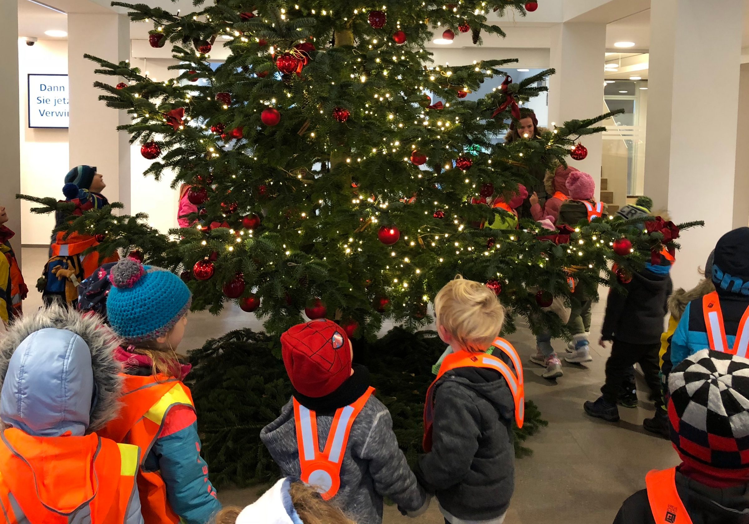 Höhepunkt für unseren Weihnachtsbaum